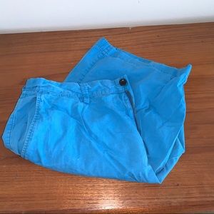 J. Crew Cobalt Blue Shorts